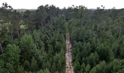 Photo #18 of SOLD property in Off Old Dothan Road, Tabor City, NC 20.9 acres