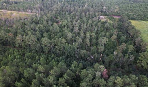 Photo #19 of SOLD property in Off Old Dothan Road, Tabor City, NC 20.9 acres