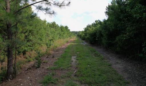 Photo #3 of SOLD property in Off Old Dothan Road, Tabor City, NC 20.9 acres