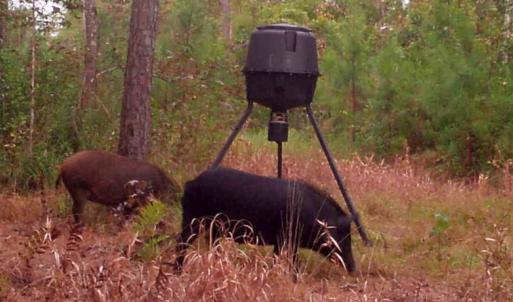 Photo #27 of SOLD property in Off Old Dothan Road, Tabor City, NC 20.9 acres