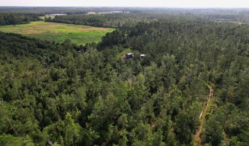 Photo #5 of SOLD property in Off Old Dothan Road, Tabor City, NC 20.9 acres