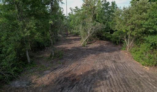 Photo #7 of SOLD property in Off Old Dothan Road, Tabor City, NC 20.9 acres