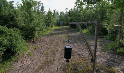 Photo #8 of SOLD property in Off Old Dothan Road, Tabor City, NC 20.9 acres