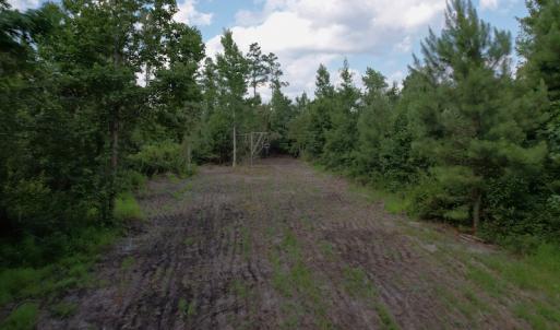 Photo #9 of SOLD property in Off Old Dothan Road, Tabor City, NC 20.9 acres