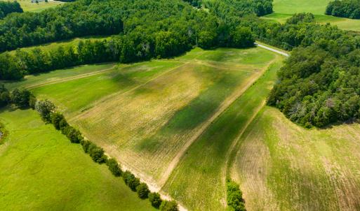 Photo #3 of SOLD property in Off Cherry Grove Road, Yanceyville, NC 12.5 acres