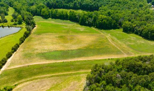 Photo #12 of SOLD property in Off Cherry Grove Road, Yanceyville, NC 12.5 acres