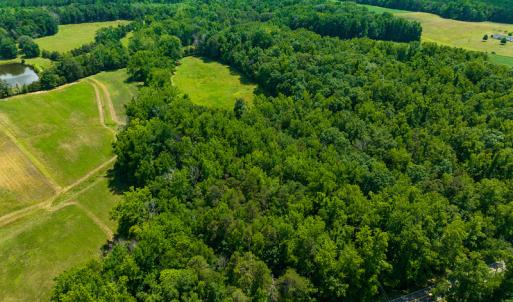 Photo #2 of SOLD property in Off Cherry Grove Road, Yanceyville, NC 13.7 acres