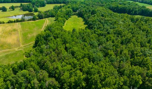 Photo #3 of SOLD property in Off Cherry Grove Road, Yanceyville, NC 13.7 acres