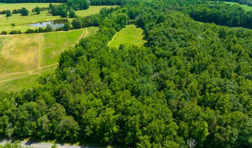 Photo #4 of SOLD property in Off Cherry Grove Road, Yanceyville, NC 13.7 acres