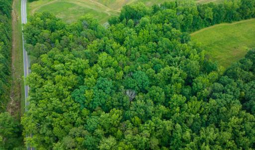 Photo #7 of SOLD property in Off Cherry Grove Road, Yanceyville, NC 13.7 acres