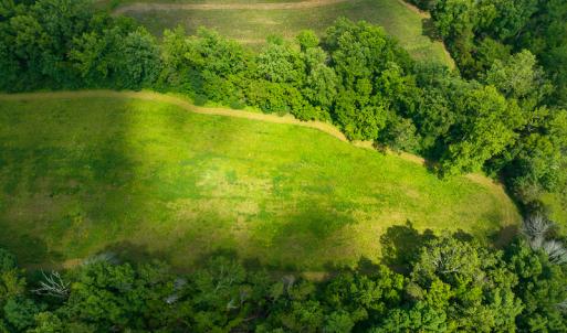 Photo #9 of SOLD property in Off Cherry Grove Road, Yanceyville, NC 13.7 acres