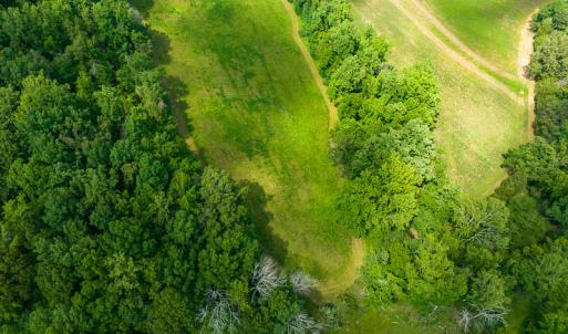 Photo #10 of SOLD property in Off Cherry Grove Road, Yanceyville, NC 13.7 acres