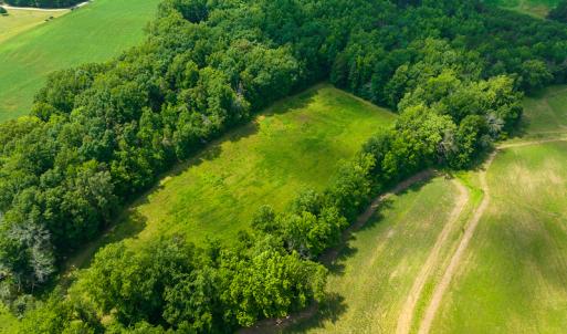 Photo #13 of SOLD property in Off Cherry Grove Road, Yanceyville, NC 13.7 acres
