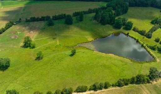 Photo #8 of SOLD property in Off Cherry Grove Road, Yanceyville, NC 15.3 acres