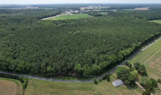 Photo #14 of SOLD property in Off Elmore Road, Painter, VA 66.1 acres