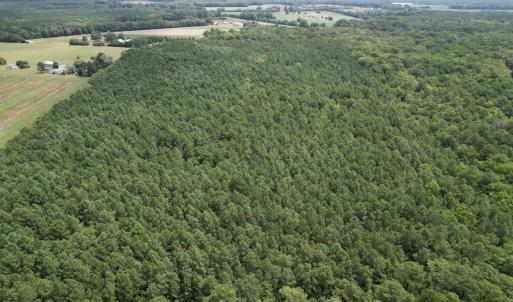 Photo #15 of SOLD property in Off Elmore Road, Painter, VA 66.1 acres