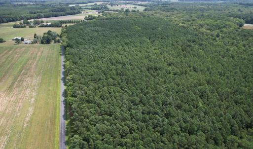 Photo #16 of SOLD property in Off Elmore Road, Painter, VA 66.1 acres