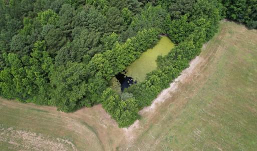 Photo #17 of SOLD property in Off Elmore Road, Painter, VA 66.1 acres