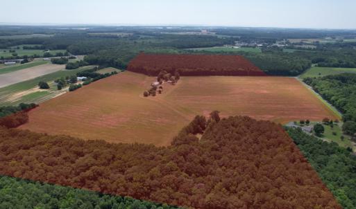 Photo #2 of SOLD property in Off Elmore Road, Painter, VA 66.1 acres