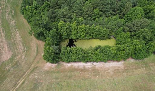 Photo #18 of SOLD property in Off Elmore Road, Painter, VA 66.1 acres