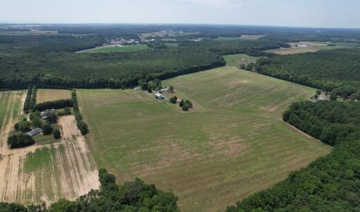 Photo #3 of SOLD property in Off Elmore Road, Painter, VA 66.1 acres