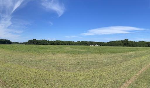 Photo #43 of SOLD property in Off Elmore Road, Painter, VA 66.1 acres