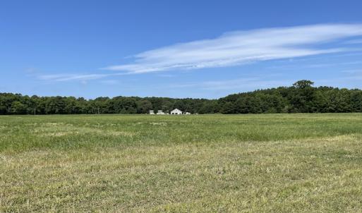 Photo #45 of SOLD property in Off Elmore Road, Painter, VA 66.1 acres