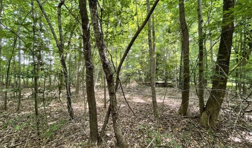 Photo #10 of SOLD property in Off Cabin Point Road, Spring Grove, VA 19.2 acres