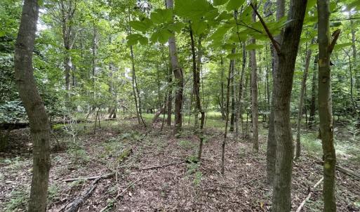 Photo #11 of SOLD property in Off Cabin Point Road, Spring Grove, VA 19.2 acres