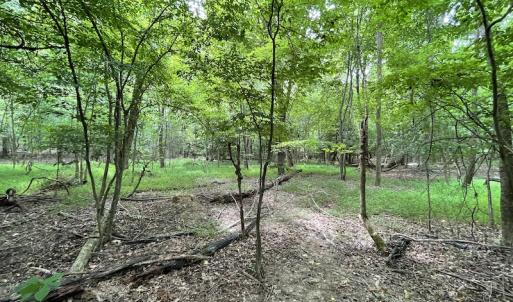 Photo #12 of SOLD property in Off Cabin Point Road, Spring Grove, VA 19.2 acres