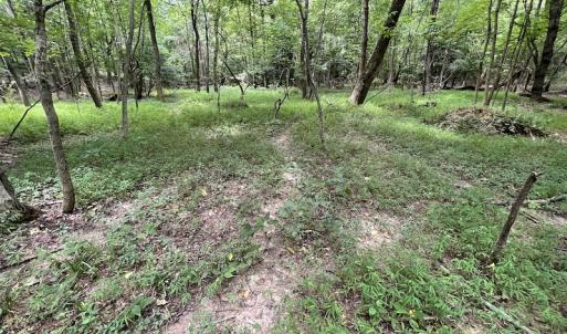 Photo #13 of SOLD property in Off Cabin Point Road, Spring Grove, VA 19.2 acres