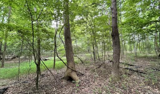 Photo #14 of SOLD property in Off Cabin Point Road, Spring Grove, VA 19.2 acres