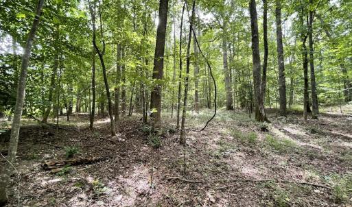 Photo #15 of SOLD property in Off Cabin Point Road, Spring Grove, VA 19.2 acres