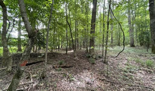 Photo #16 of SOLD property in Off Cabin Point Road, Spring Grove, VA 19.2 acres