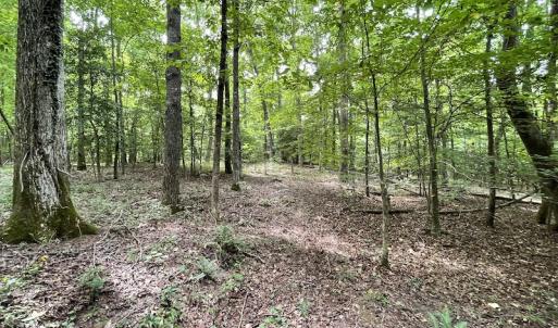 Photo #17 of SOLD property in Off Cabin Point Road, Spring Grove, VA 19.2 acres