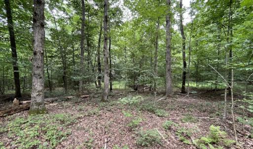 Photo #18 of SOLD property in Off Cabin Point Road, Spring Grove, VA 19.2 acres