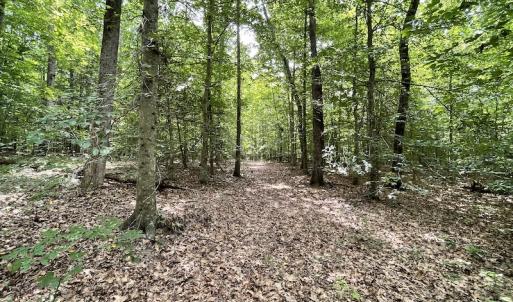 Photo #19 of SOLD property in Off Cabin Point Road, Spring Grove, VA 19.2 acres