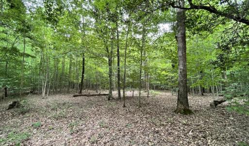 Photo #22 of SOLD property in Off Cabin Point Road, Spring Grove, VA 19.2 acres