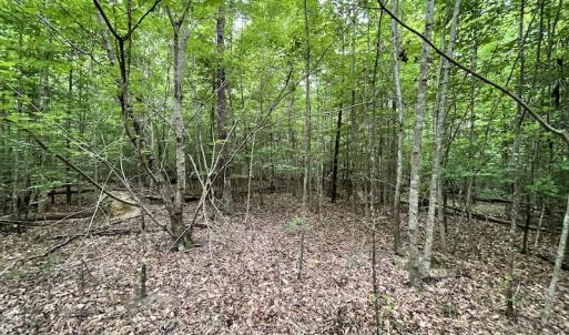 Photo #23 of SOLD property in Off Cabin Point Road, Spring Grove, VA 19.2 acres