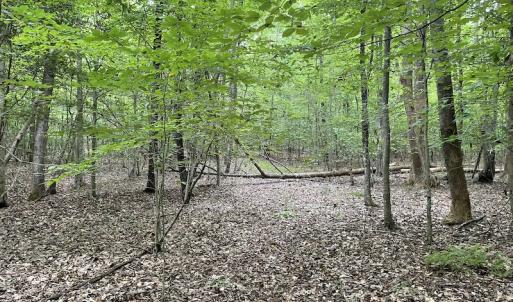 Photo #24 of SOLD property in Off Cabin Point Road, Spring Grove, VA 19.2 acres