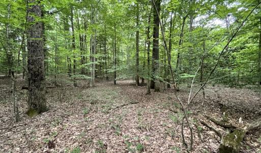 Photo #26 of SOLD property in Off Cabin Point Road, Spring Grove, VA 19.2 acres