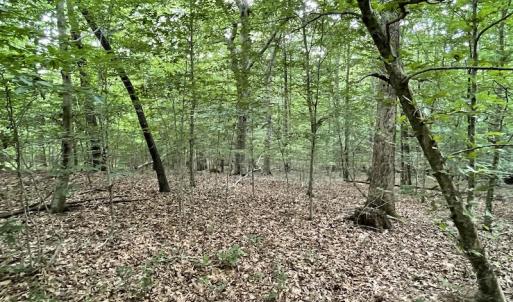 Photo #27 of SOLD property in Off Cabin Point Road, Spring Grove, VA 19.2 acres