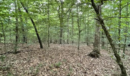 Photo #27 of SOLD property in Off Cabin Point Road, Spring Grove, VA 19.2 acres