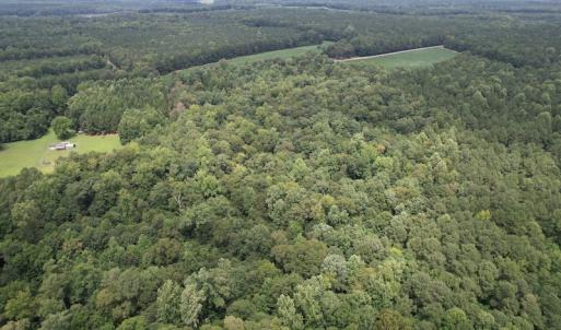 Photo #6 of SOLD property in Off Cabin Point Road, Spring Grove, VA 19.2 acres