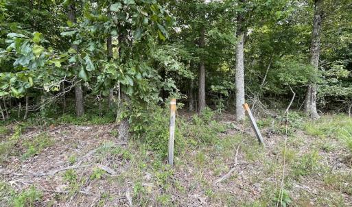 Photo #7 of SOLD property in Off Cabin Point Road, Spring Grove, VA 19.2 acres