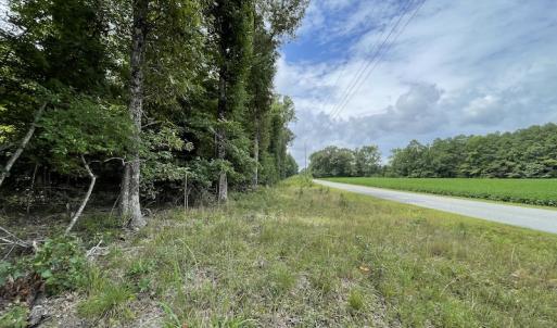 Photo #9 of SOLD property in Off Cabin Point Road, Spring Grove, VA 19.2 acres