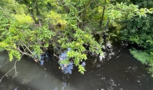 Photo #32 of SOLD property in Off Petersburg Road Route 613, Disputanta, VA 20.0 acres