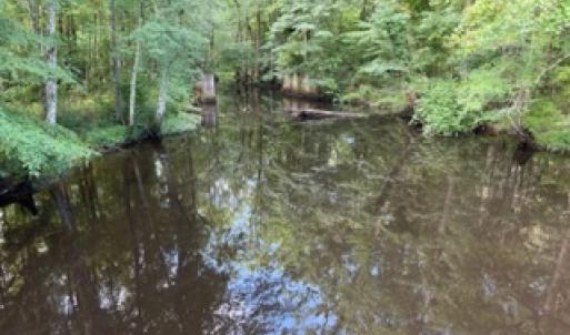 Photo #31 of SOLD property in Off Petersburg Road Route 613, Disputanta, VA 20.0 acres