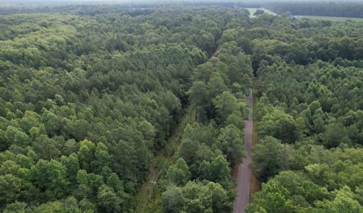 Photo #5 of SOLD property in Off Petersburg Road Route 613, Disputanta, VA 20.0 acres