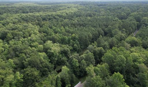 Photo #6 of SOLD property in Off Petersburg Road Route 613, Disputanta, VA 20.0 acres